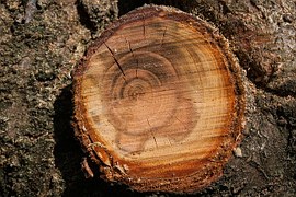 wood