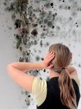 damp proofing