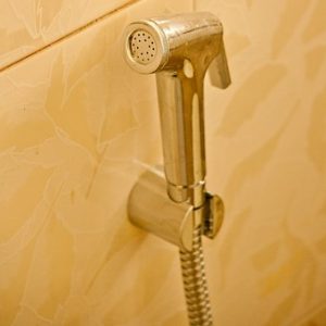 bidet