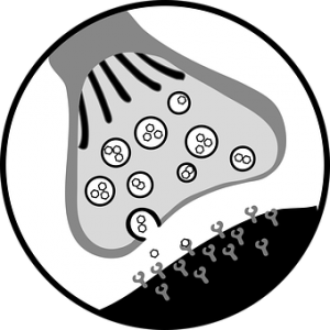 Shower Heads