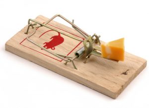 mouse