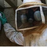 Bee service