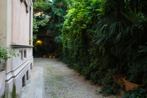 backyard