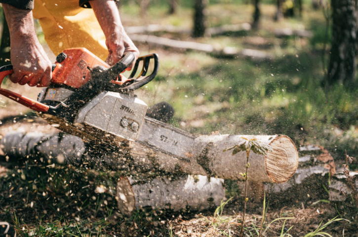 Tree Service